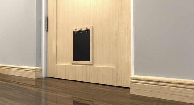 Cat Flap Installation Tooting, SW17