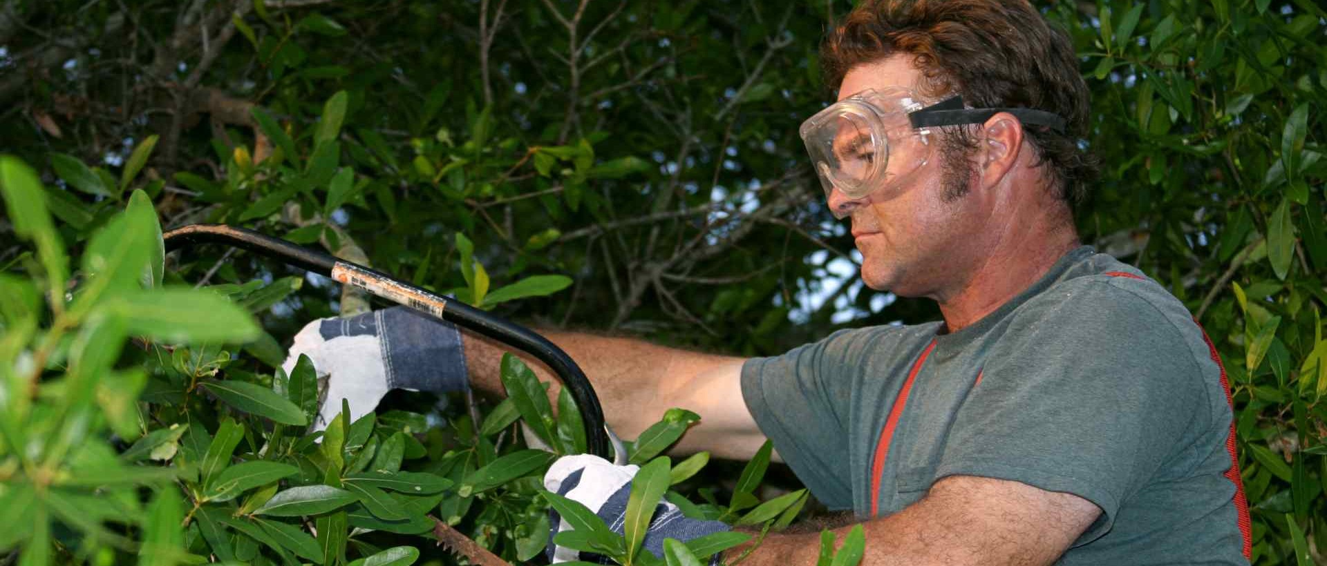 garden clearance SW17